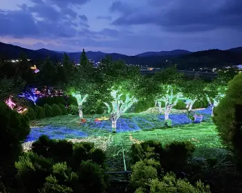 청도 프로방스 빛축제_7