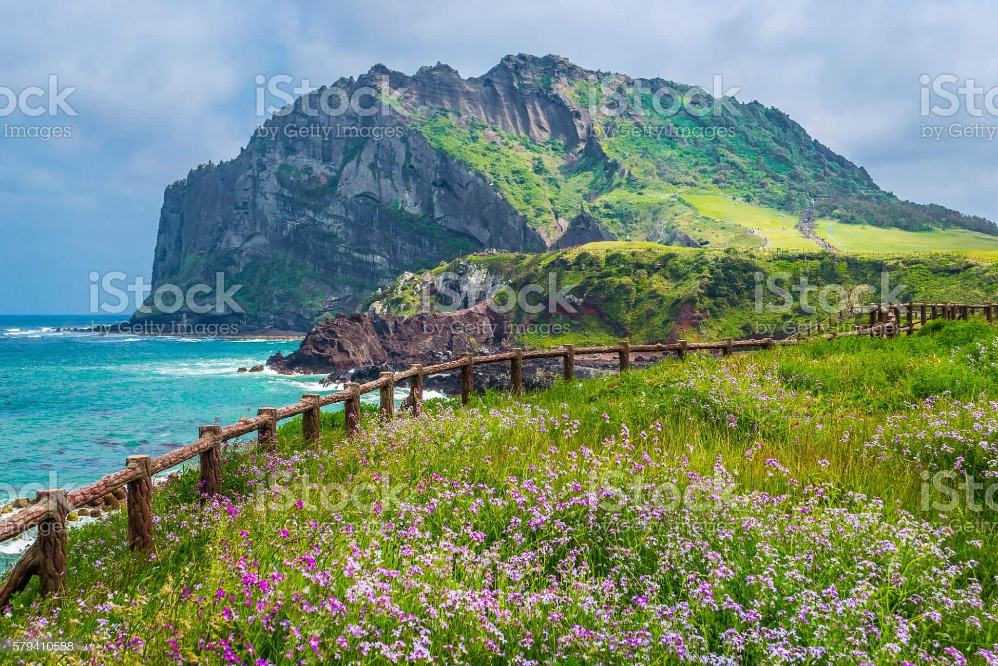 제주도 렌트카
