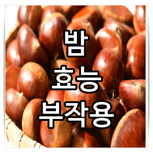 밤 효능과 부작용