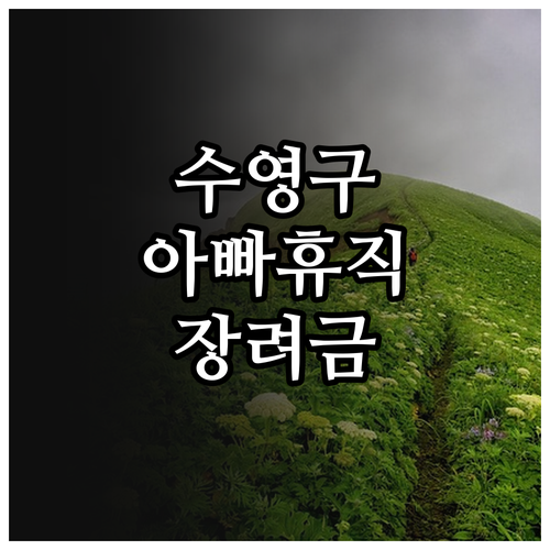 2025년 수영구 아빠 육아휴직 장려..