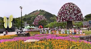 제 26회 함평나비대축제 기본정보와 프로그램 소개 박지현 지원이 박서진 김정우 코요태 육중완밴드 윤도현밴드 비스타 케이씨 허니제이&amp;홀리뱅 출연