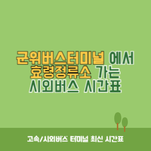 군위버스터미널에서 효령정류소 가는 시외버스 시간표 최신정보