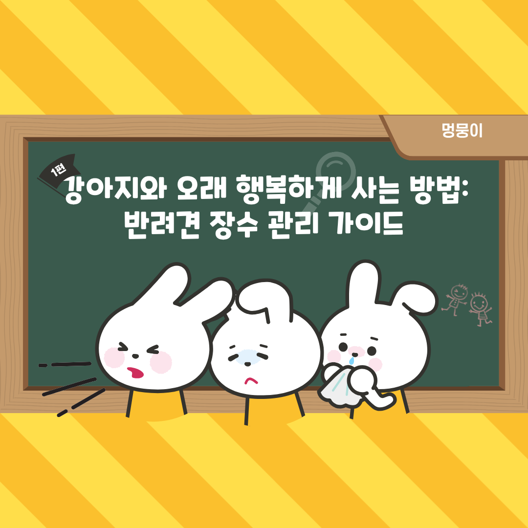 강아지와 오래 행복하게 사는 방법