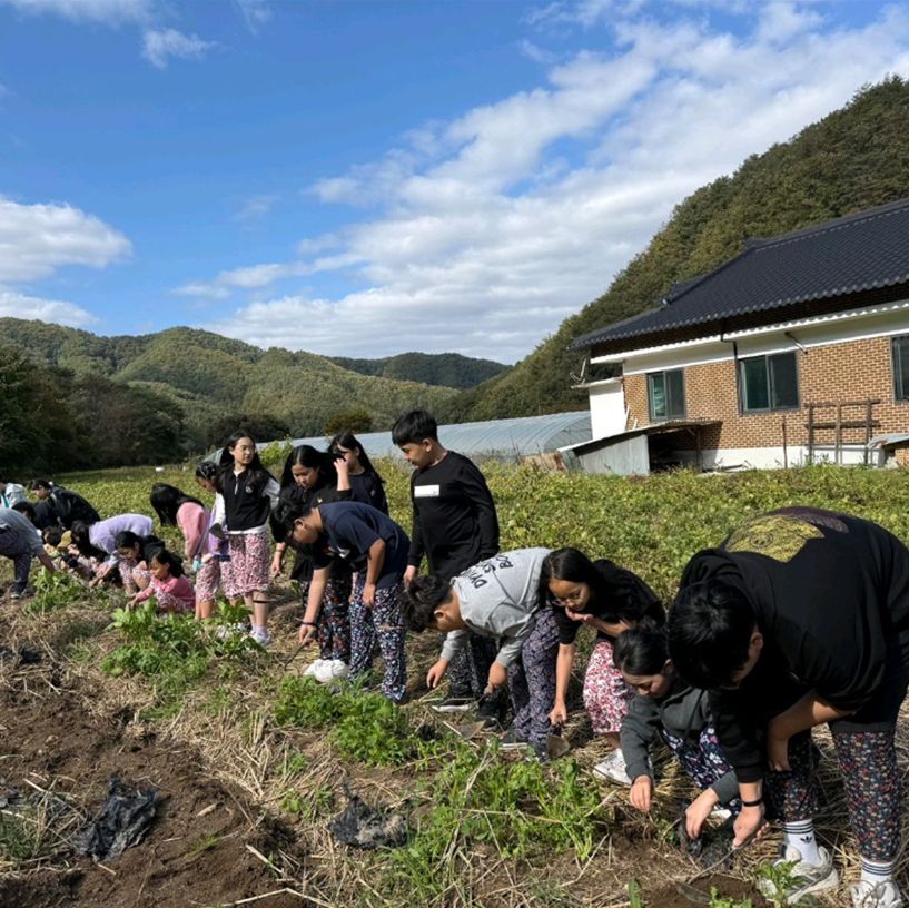 큰삼촌농촌체험