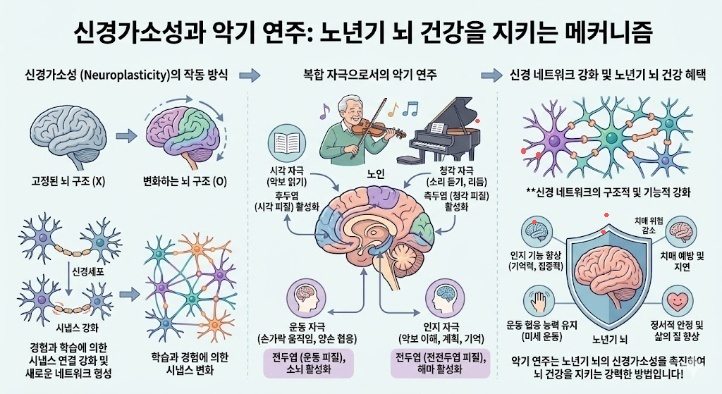 신경가소성을 돕는 악기 연주와 인지 기능 회복
이미지출처:Gemini AI 생성