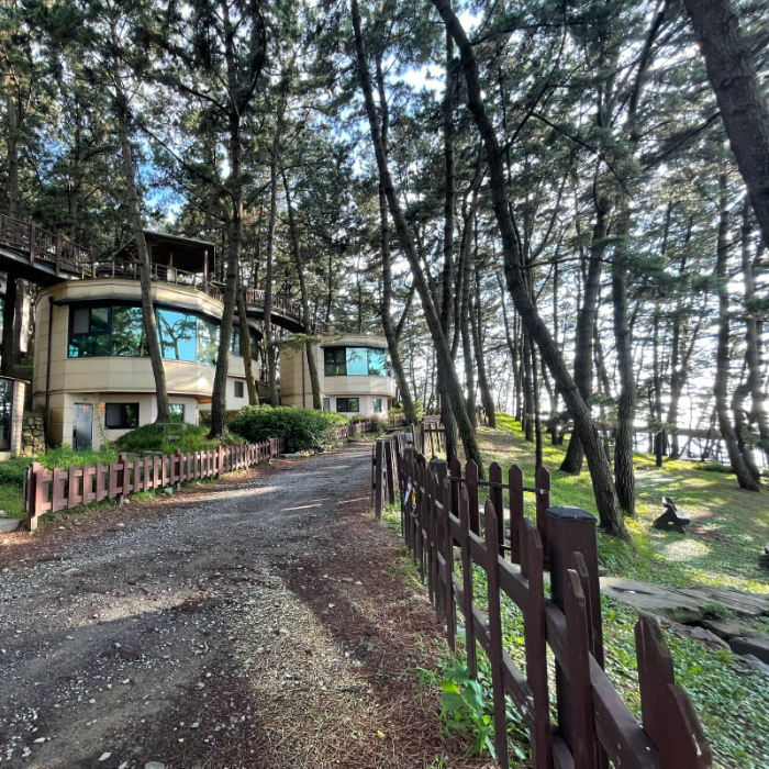 죽도상화원