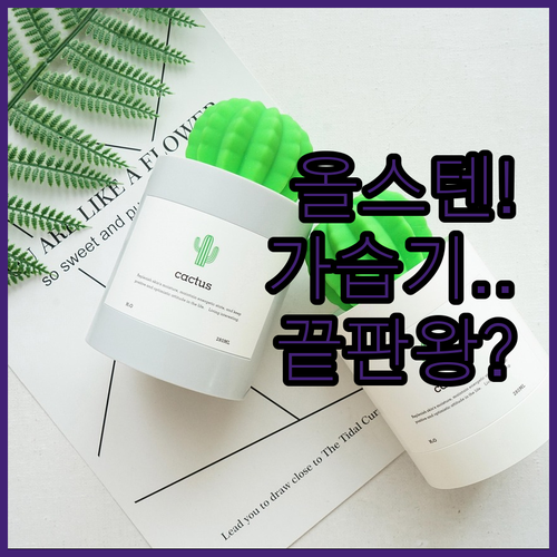 위생적인 올 스텐 가열식 가습기 인기..