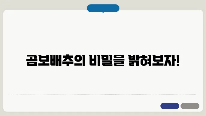 곰보배추 재배 및 수확 과정