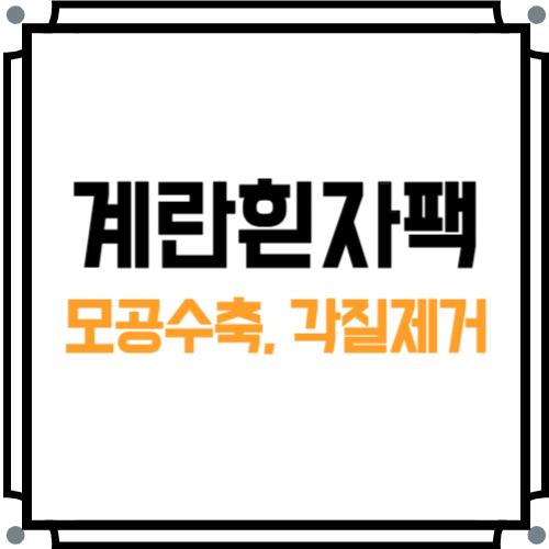계란팩