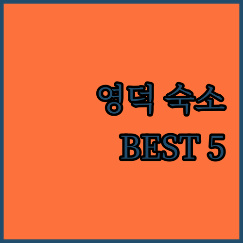 영덕 호텔 펜션 베스트 5 장점 비교..