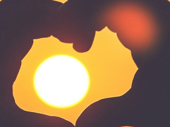 연말정산 미리보기