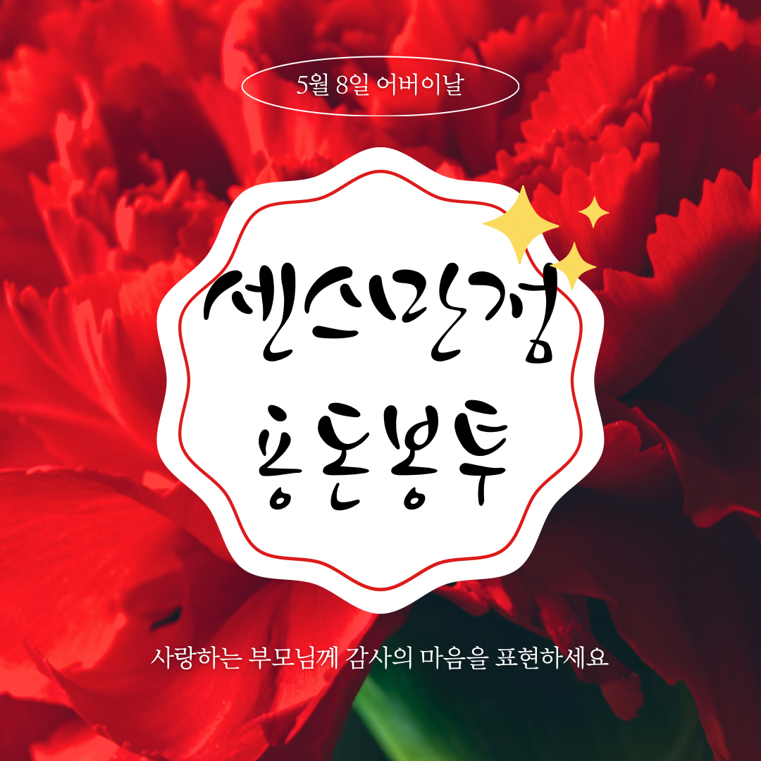 어버이날용돈봉투