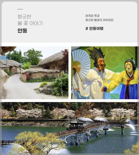 해랑열차 홈페이지&amp;#44; 가격11