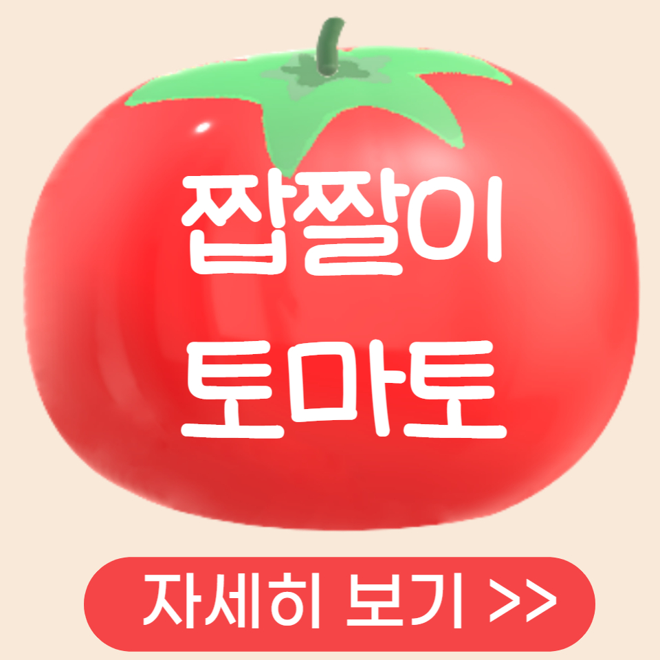 짭짤이토마토