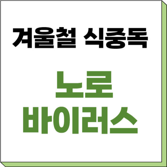 노로 바이러스 장염 증상