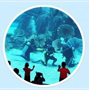 롯데월드-아쿠아리움-입장료-운영-시간-할인