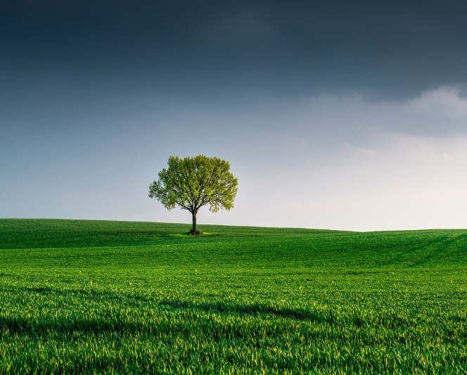 기부금 영수증, 세액 공제 받기, 기부단체