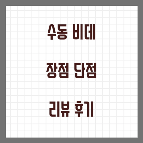 수동 비데