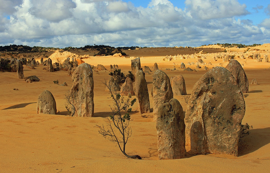 Australia Pinnacles