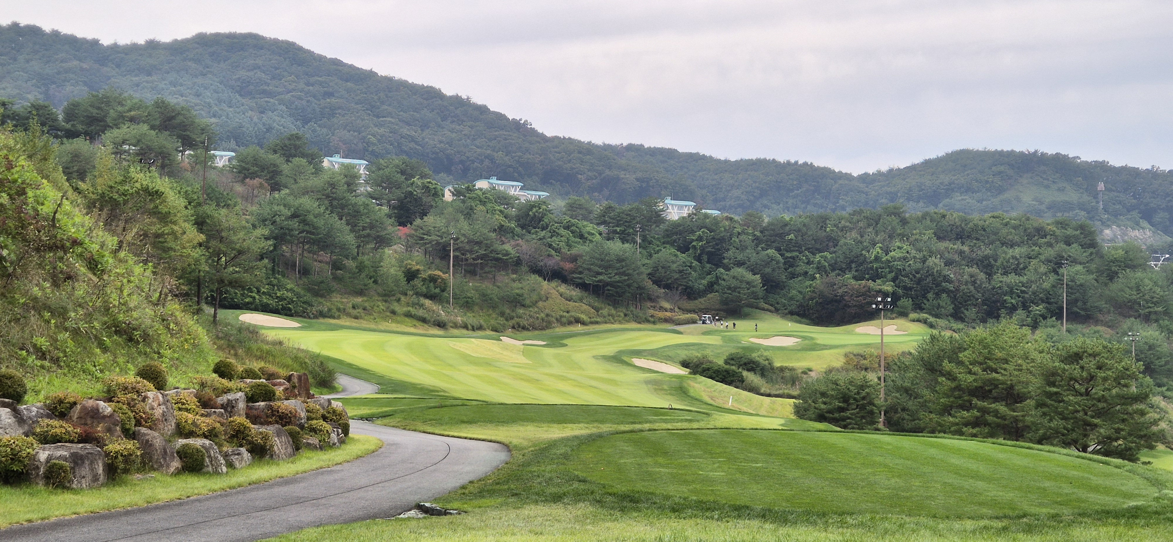 소노펠리체cc이스트