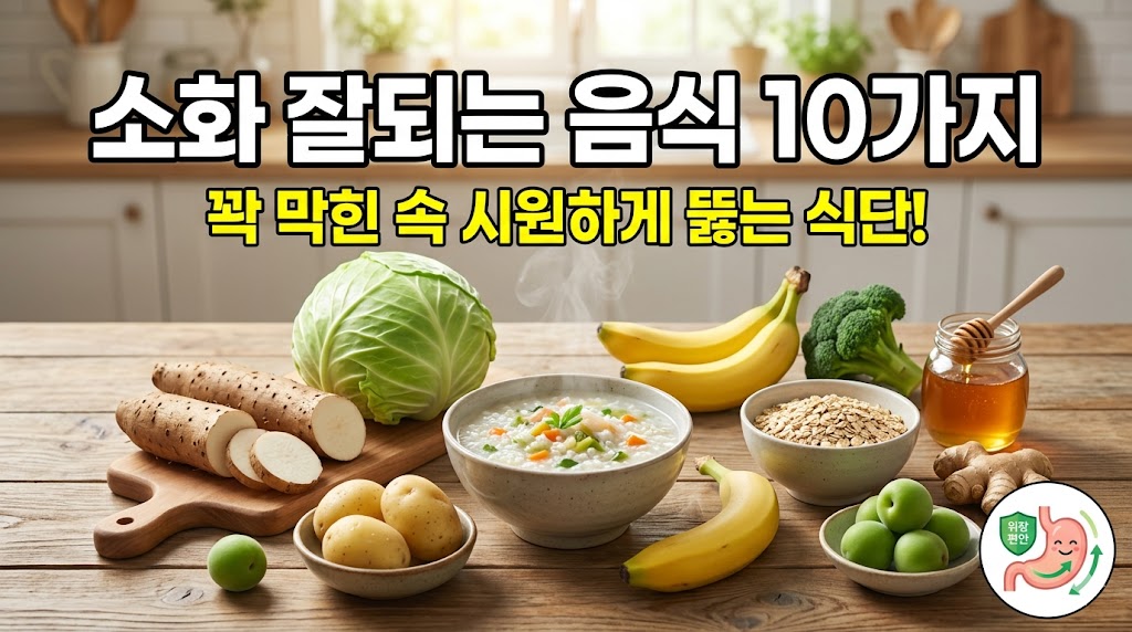 소화잘되는 음식