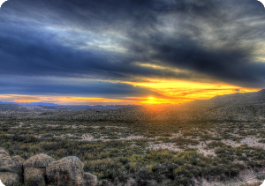 미국 텍사스 사진