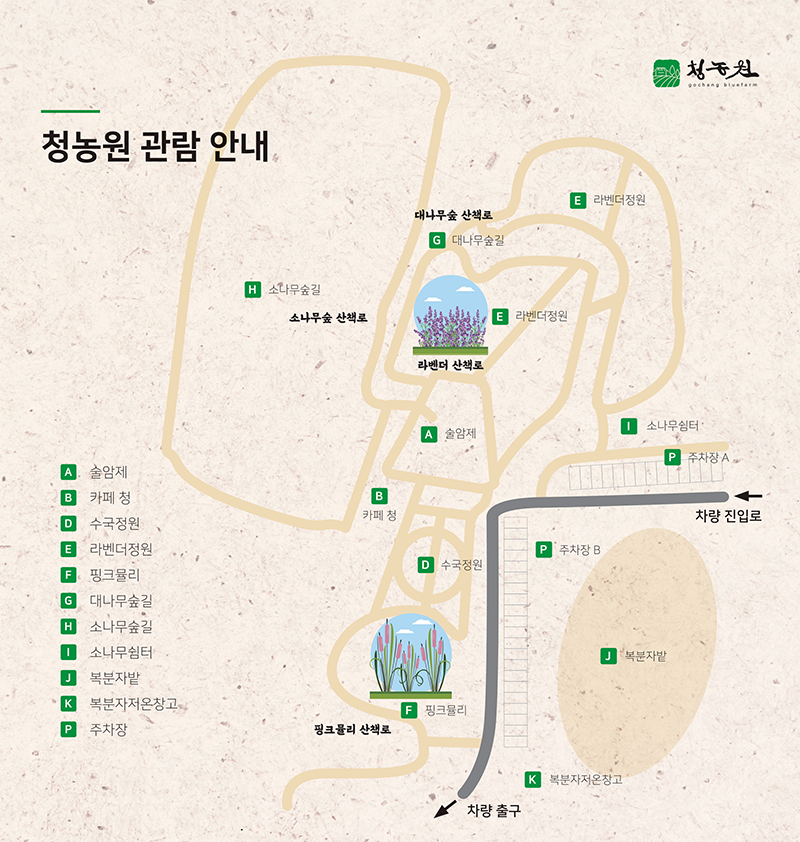 6월 축제 가볼만한 곳 (꽃축제)