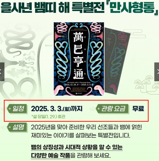 2025 설 연휴 무료 관람 꿀팁 총정리(국립박물관 미술관)