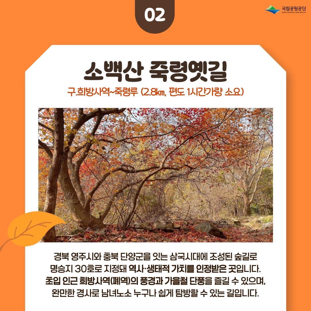 가을단풍