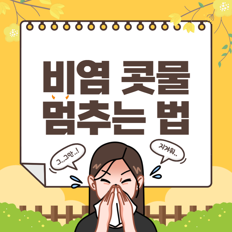 비염 콧물 멈추는 법