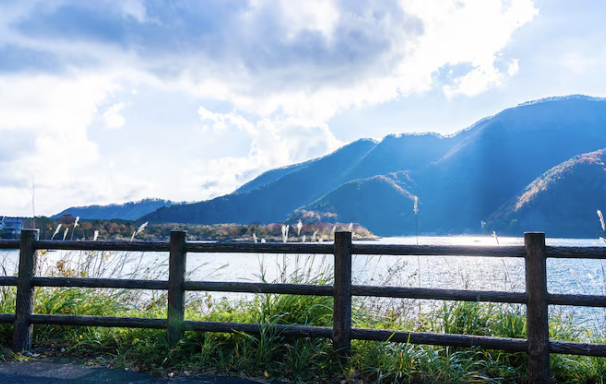 북적임을 벗어난 순간, 여행이 다시 좋아졌다