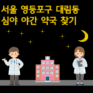 서울 영등포구 대림동 심야 야간 24시 약국 찾기