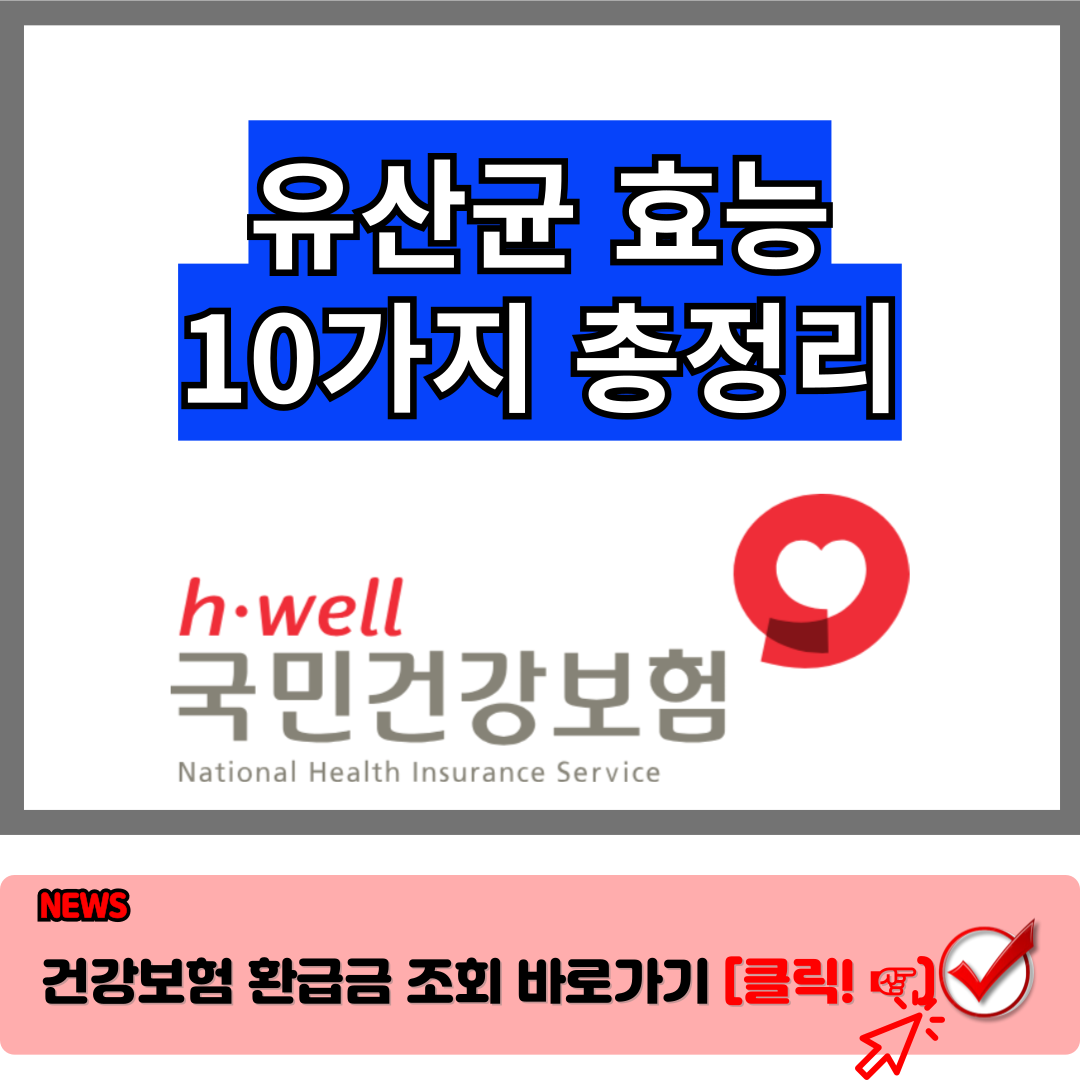 유산균 효능 10가지 장건강의 비밀을 파헤진다.
