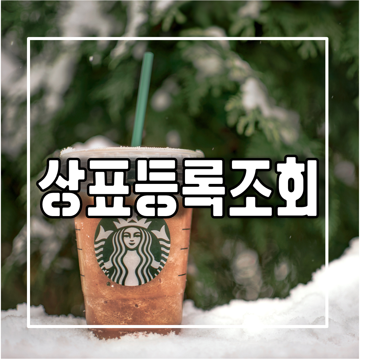 상표등록조회