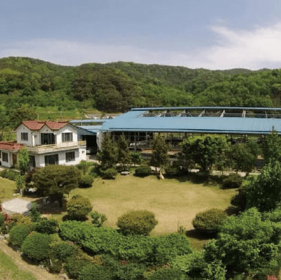 [6시 내고향] 의령 목장 수제요거트 치즈 택배 주문 판매 야베스목장