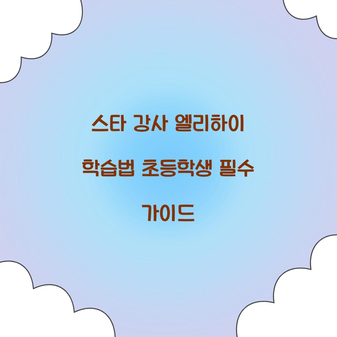스타 강사 엘리하이 학습법