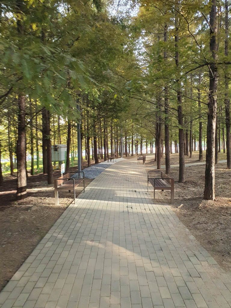 더블트리 바이 힐튼 서울 판교