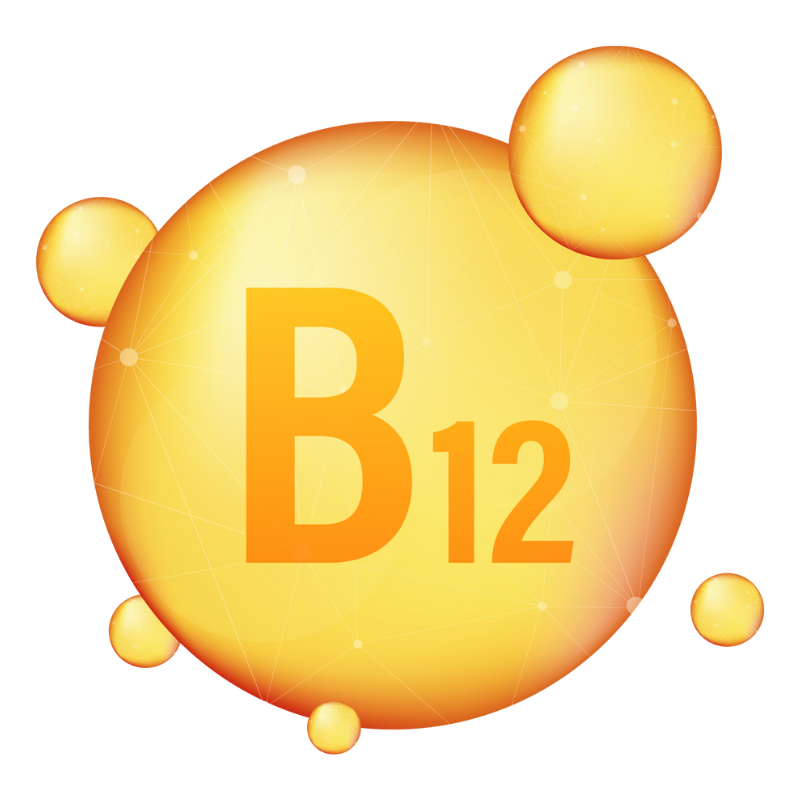 비타민 B 일일 권장량