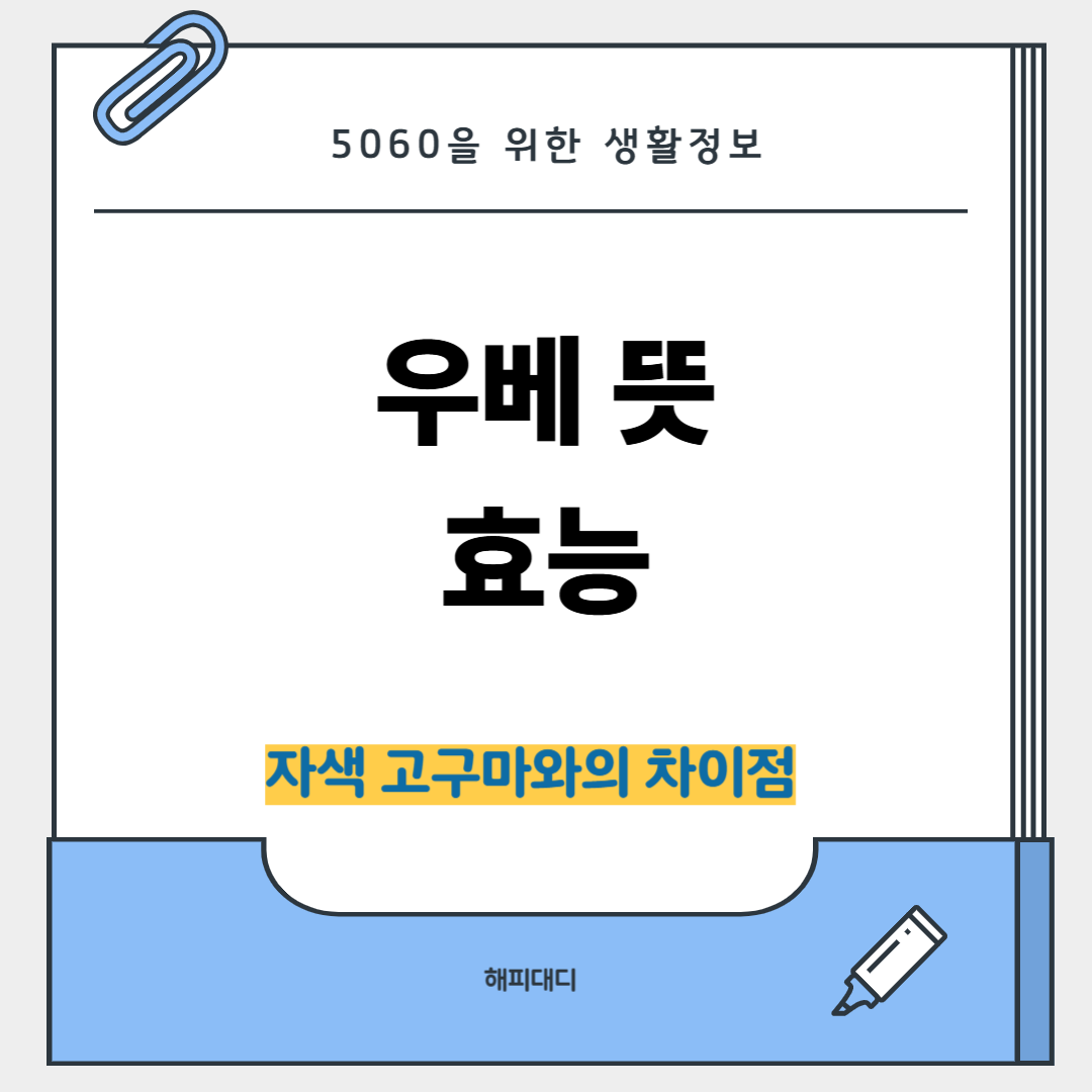 우베 뜻 효능