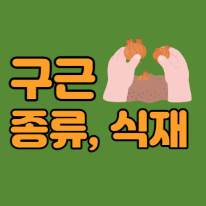 구근류-뜻-종류-식재-대표섬네일