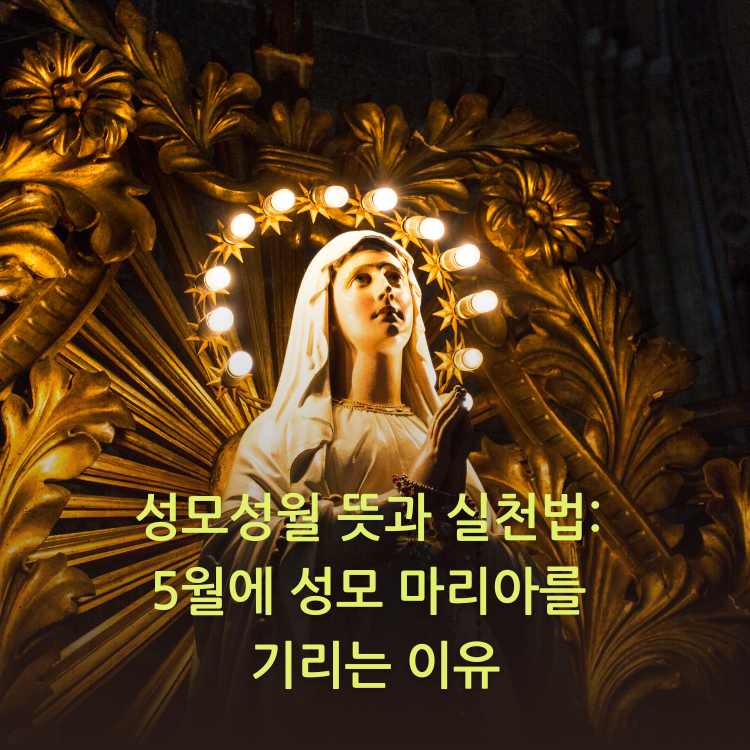 성모님의-이미지