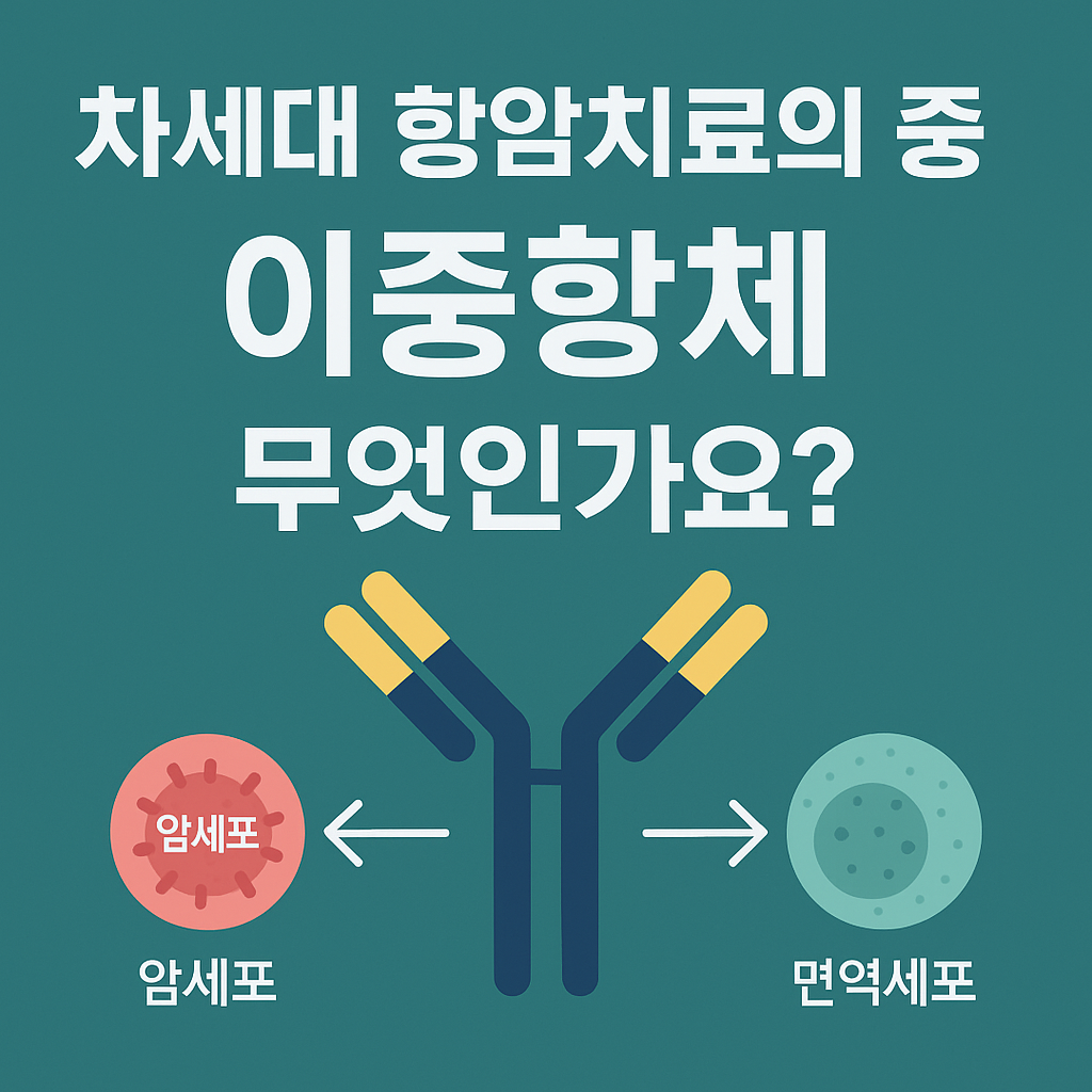 이중항체 표지 이미지