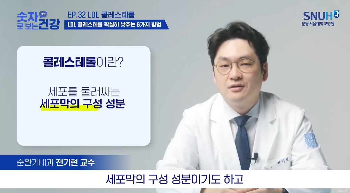 콜레스테롤은 세포막 구성요소