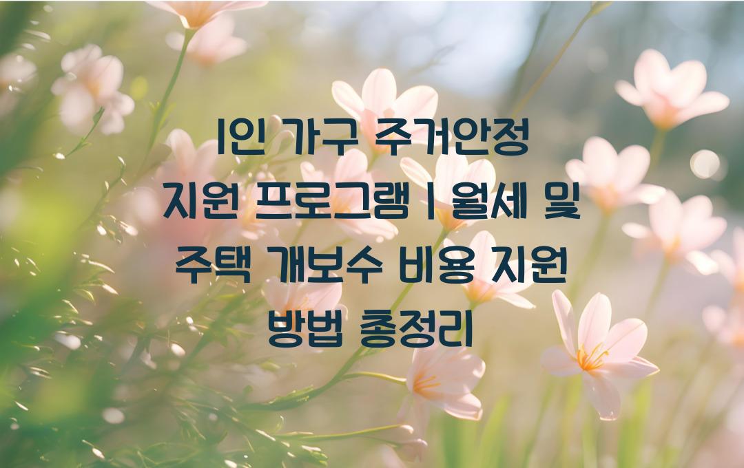 1인 가구 주거안정 지원 프로그램, 월세 및 주택 개보수 비용 지원