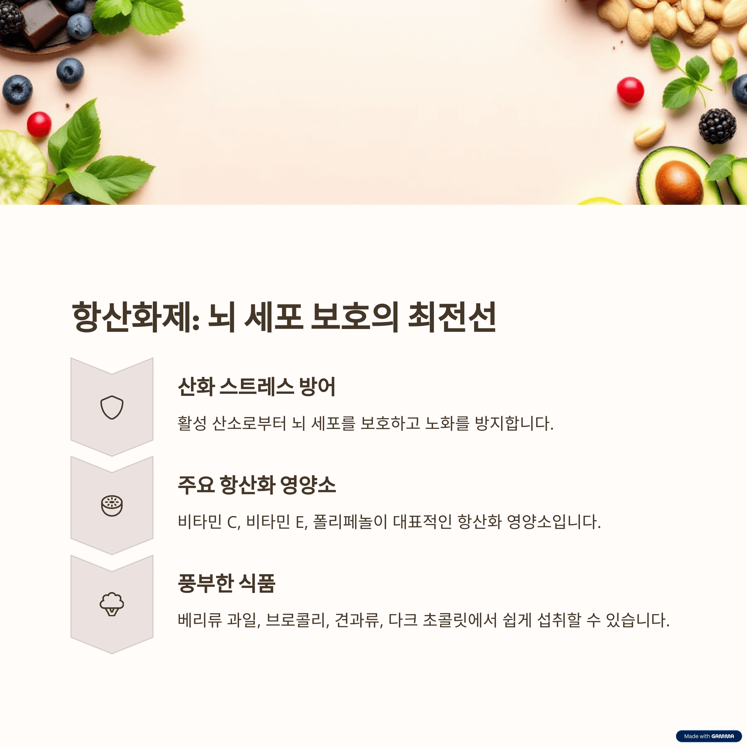 항산화제: 뇌 세포 보호의 최전선