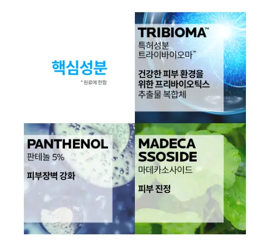 라로슈포제-시카플라스트-B5-성분