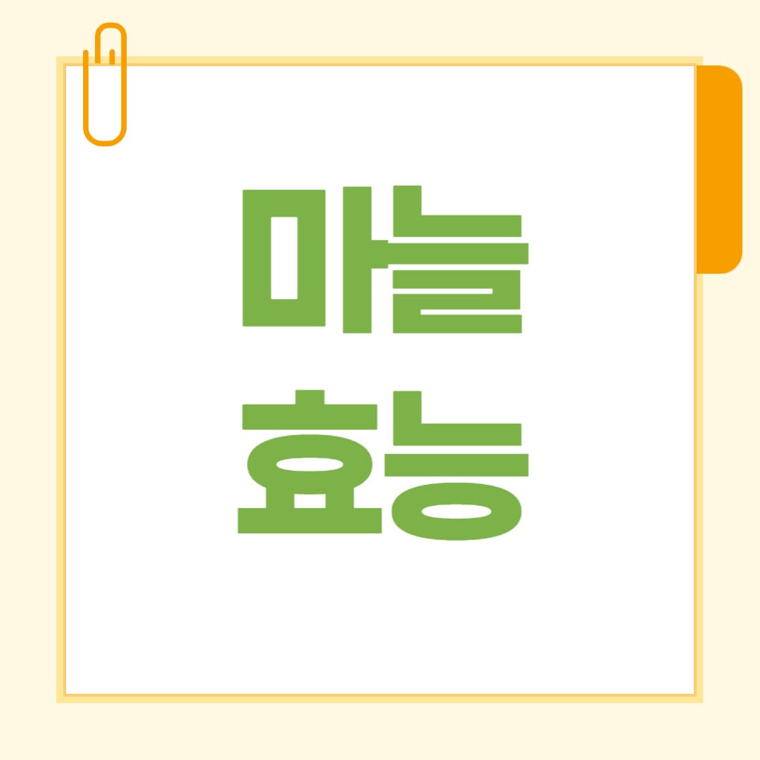 마늘 효능 총정리 피로회복·면역력 강화에 좋은 이유