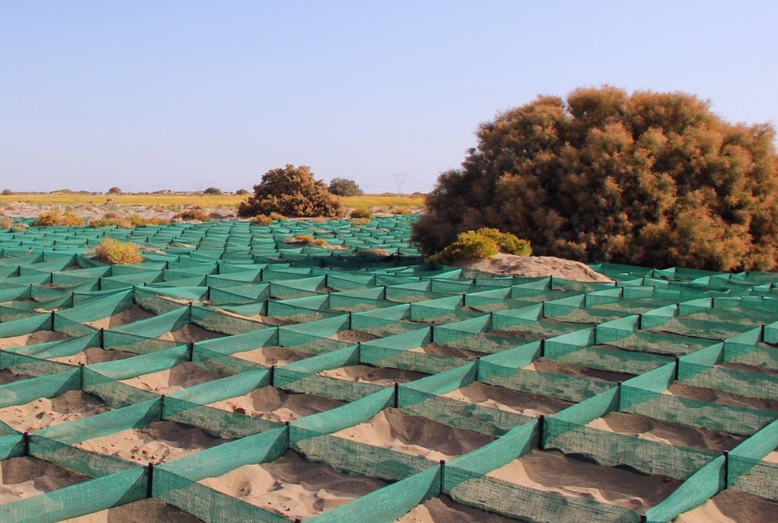 간쑤성 둔황 오아시스 지역의 사막화 방지를 위해 설치된 초록색 격자형 방풍망과 모래 고정 장치