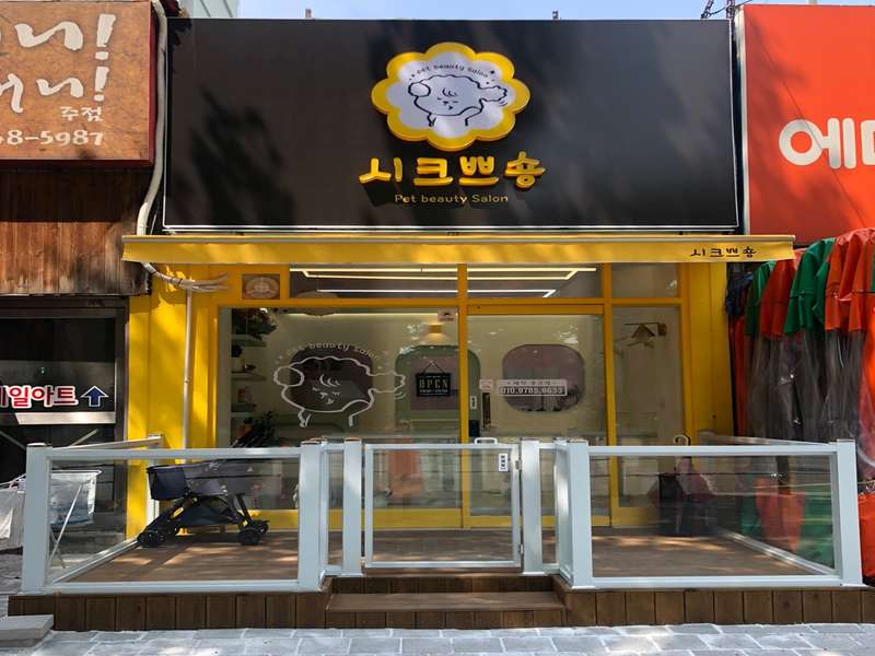 2. 시크쁘숑 소개