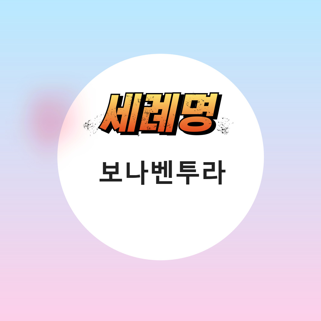 가톨릭 남자 세례명 보나벤투라 7월 축일